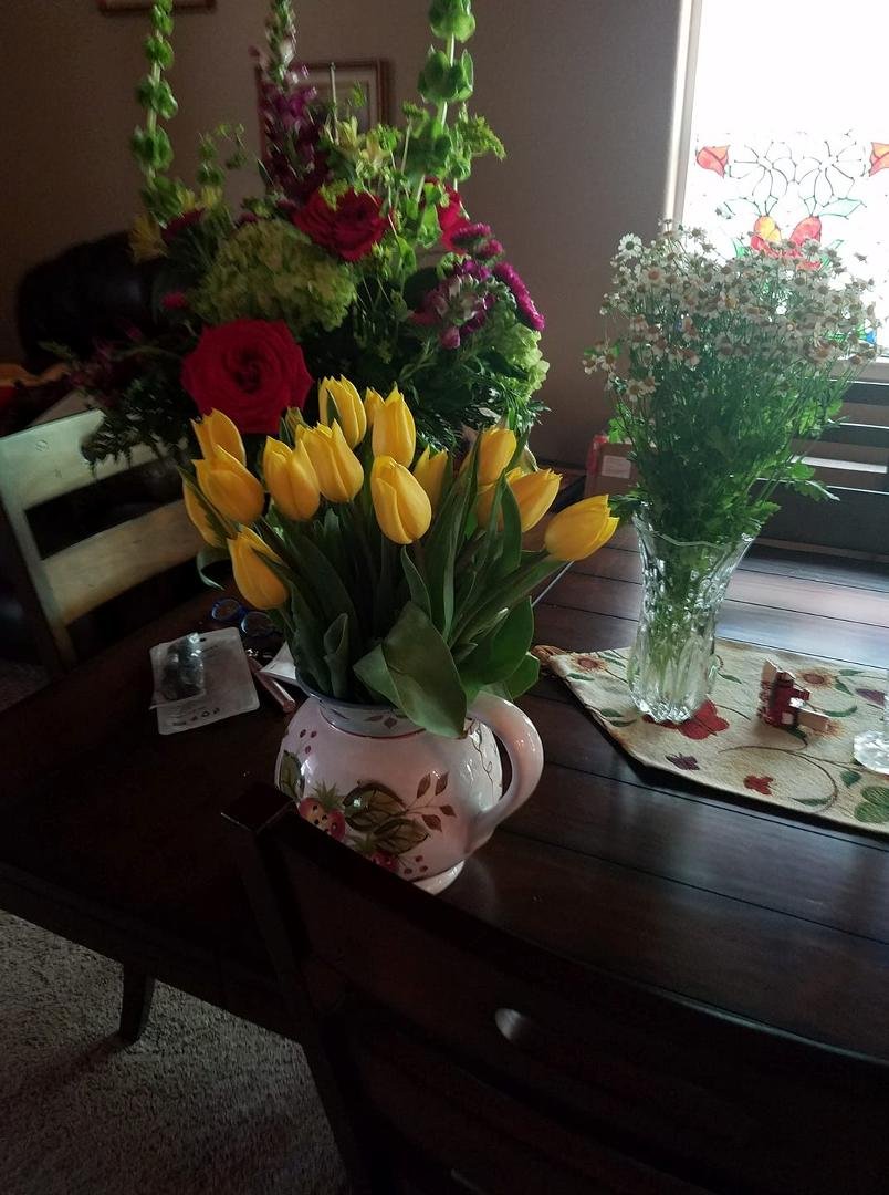 Bev Dock's album, Timeline Photos