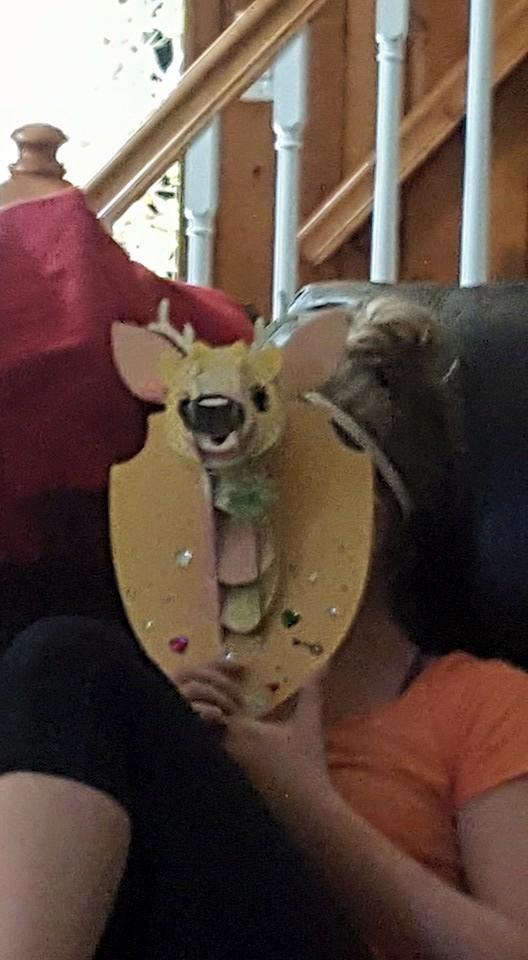 Zoë is the only one to get a 2015 deer in this household...little six points buck!