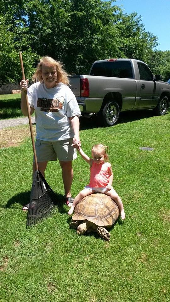 Grandma Karen helping and Isla riding Geotge.