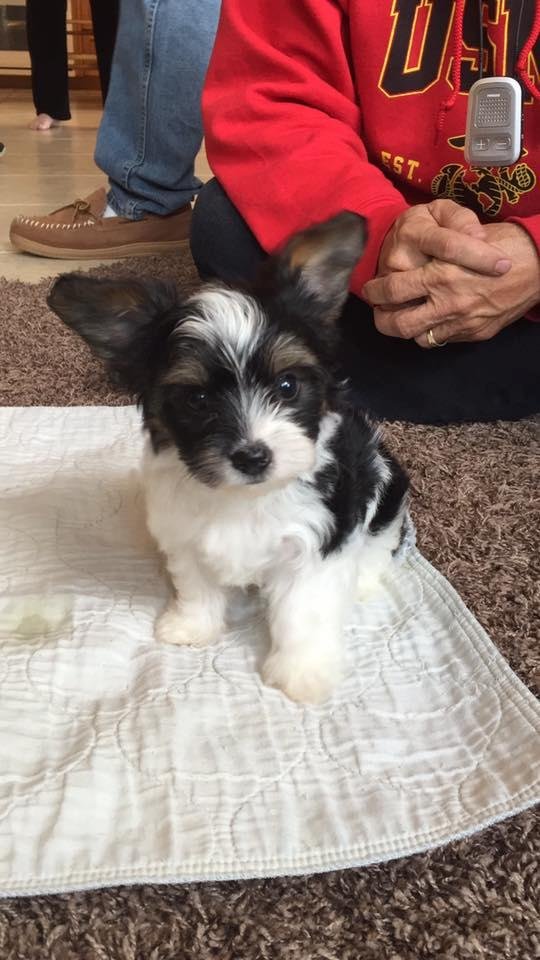 Here is my newest addition to the family.