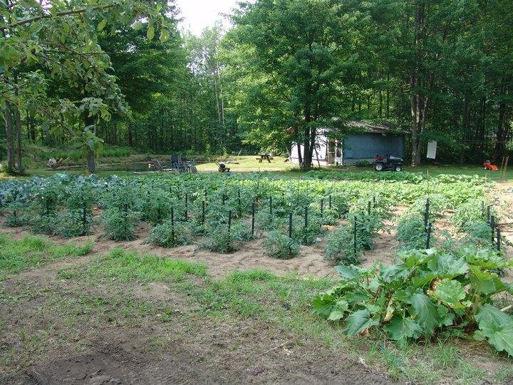 Garden with pond in back ground