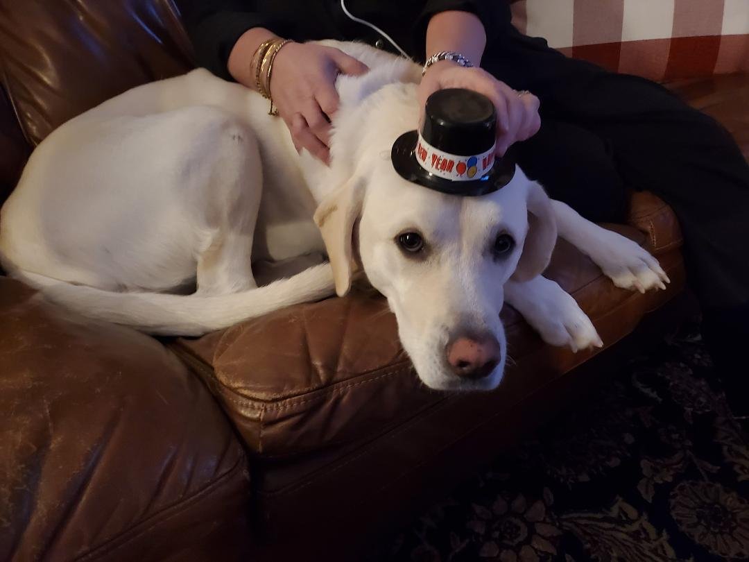 A TRUE PARTY ANIMAL.
HAPPY NEW YEAR
Buon Anno a tutti