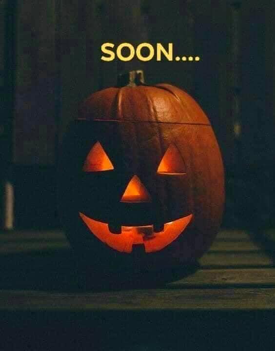 106 days til Halloween. 

🎃 👻