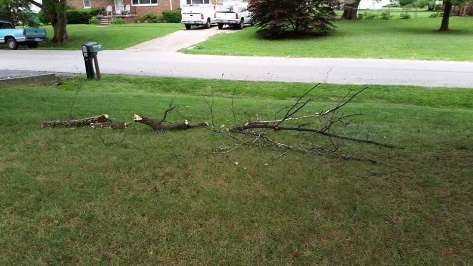 This was a dead tree limb. I cut the grass here today and two hours later when I return home I found this. That could have given me a really bad headache.