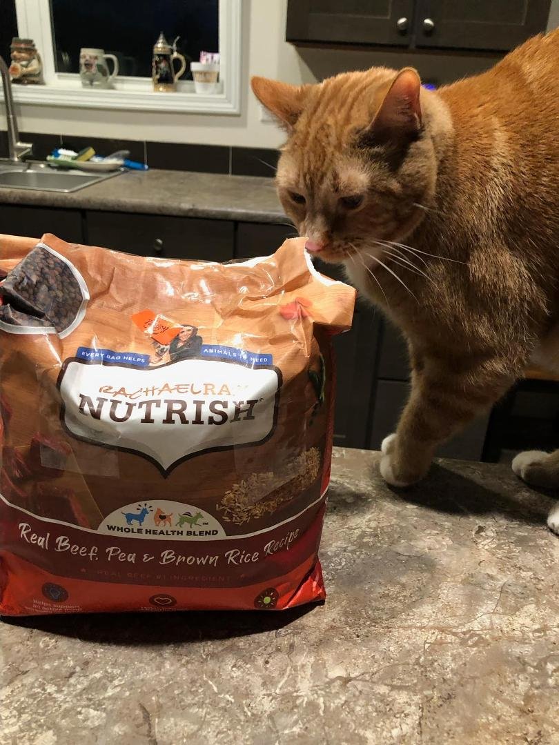 “No Louey it’s dog food. The pieces are too big.”Louey is such a good cat he actually stayed away for the rest of the day.