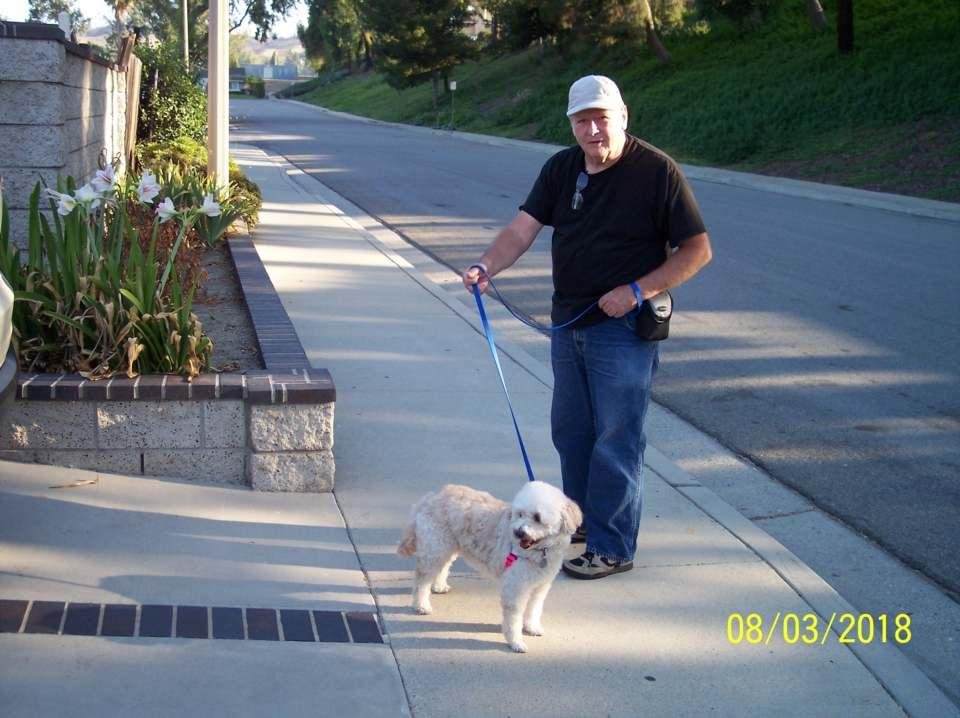 Larry Harrison's album, Mobile Uploads