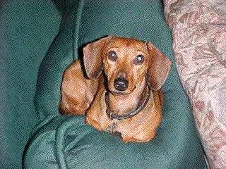 Robert Bedwell's album, Timeline Photos