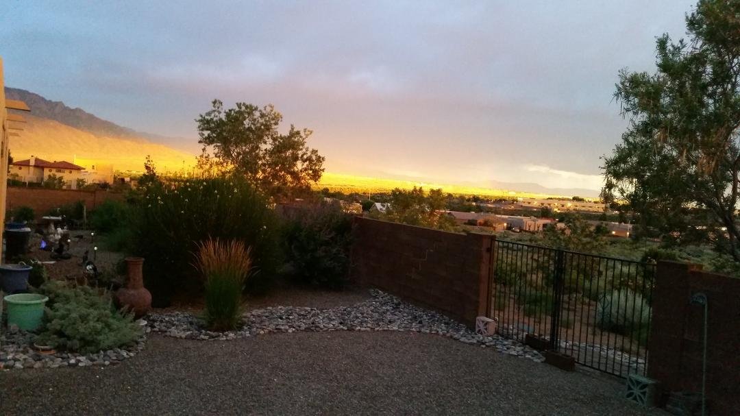 Wayne Budd's album, Timeline Photos