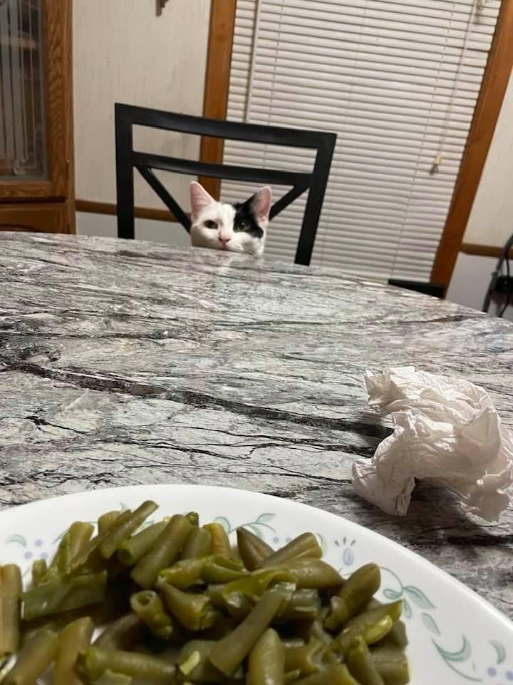 We’re is my dinner mom and dad. We love you eclipse 😘