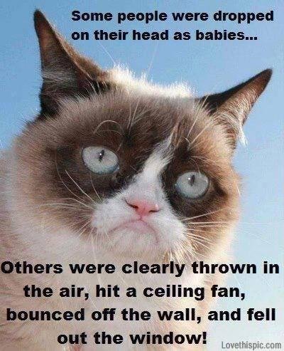 I'm just saying!