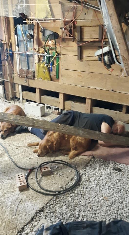 Carol found me working in the garage