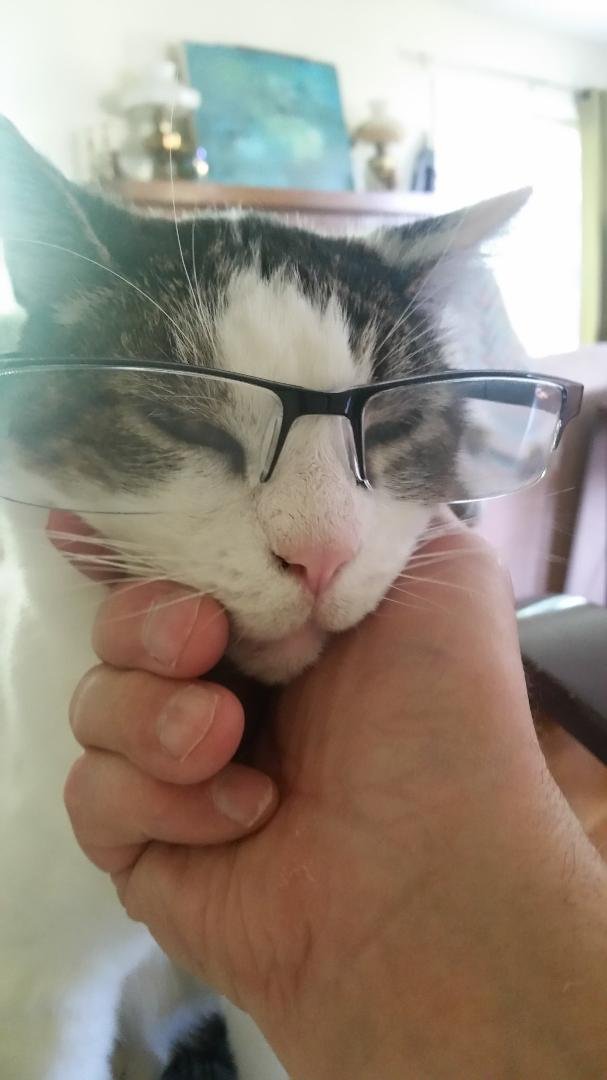 Mr. B at 18
He just started needing reading glasses