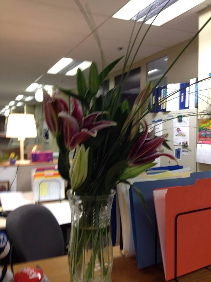 Pretty flowers