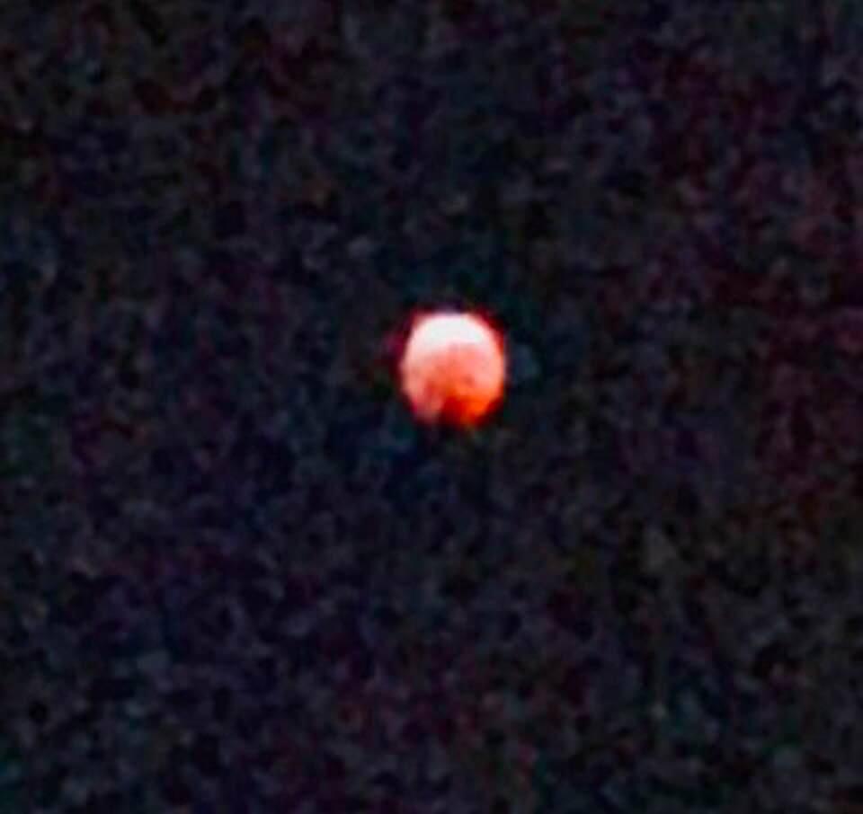 Blood Moon at 12:30 this morning Jan 21, 2019!