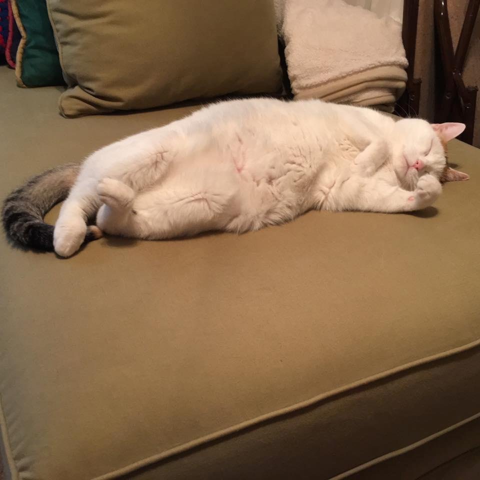 Jack Gunlock's album, Mobile Uploads