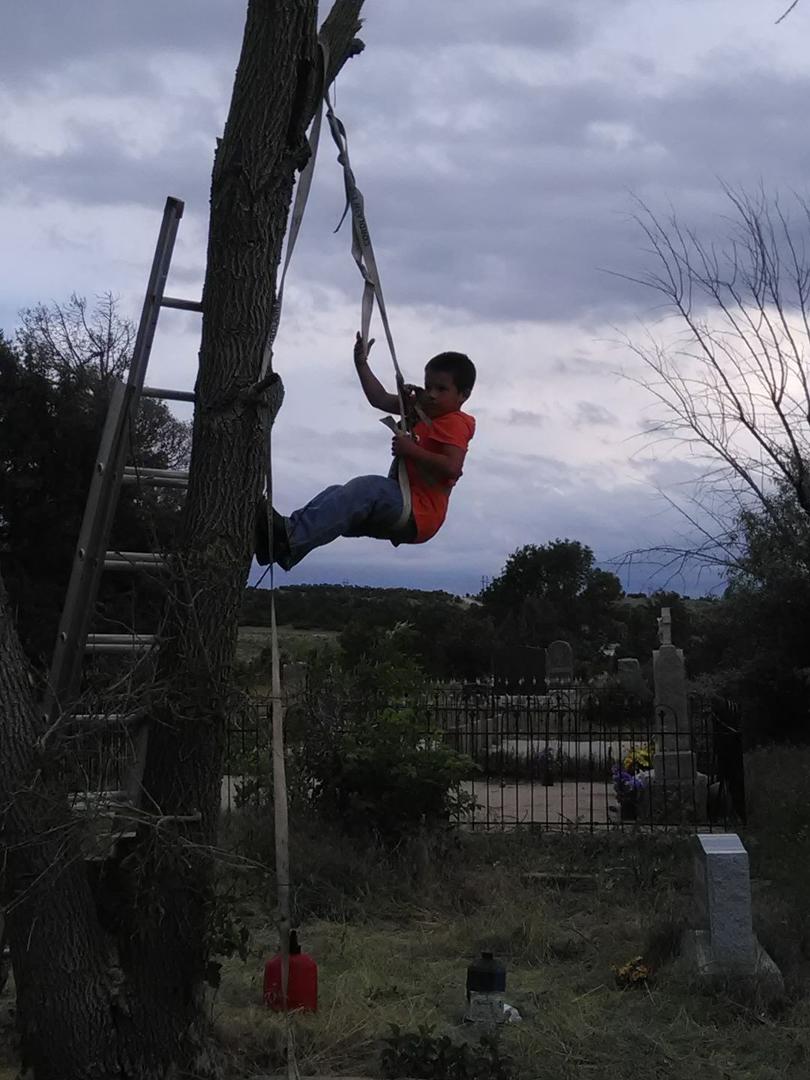 My little boy helping his daddy cut down some trees how cool is that! Not every body get to do this! God truly blessed me thank you in your sons name!