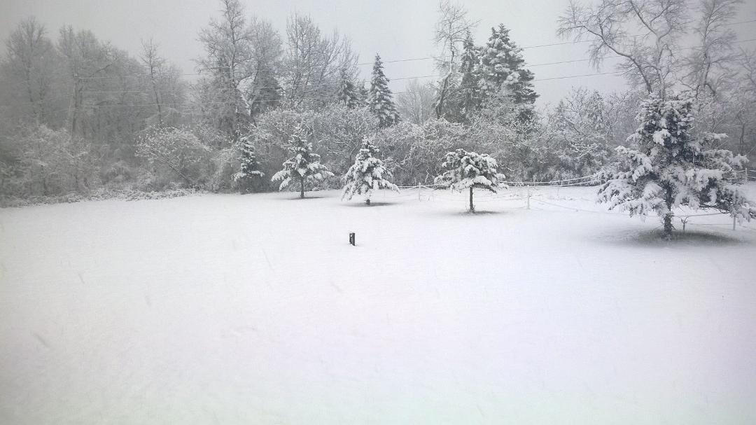 here's the view from the other side of the house