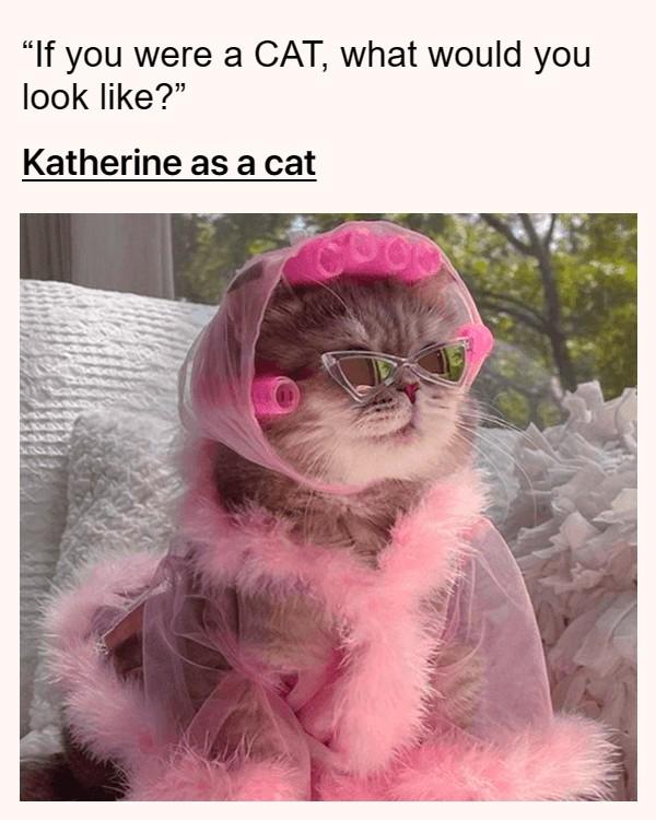 My oh My, quite the purrfect kitcat!