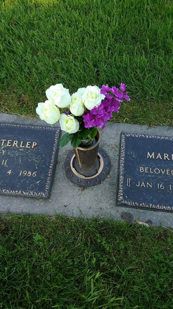 Mom's flowers. We always gave her when home, tulips & lilacs. Found false lilacs. Happy Mother's Day in heaven Mom.