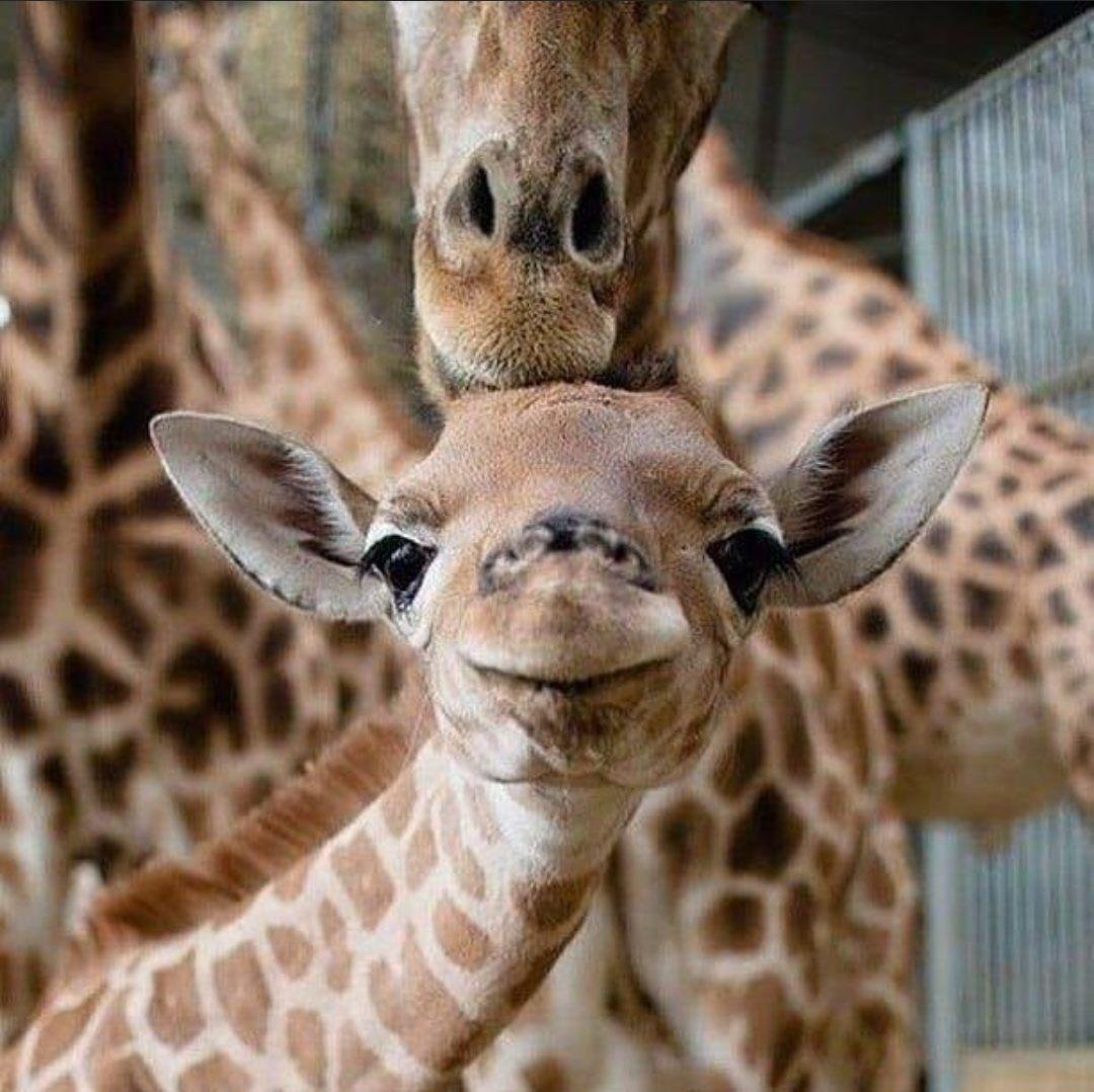My "awwwww" picture of the day!