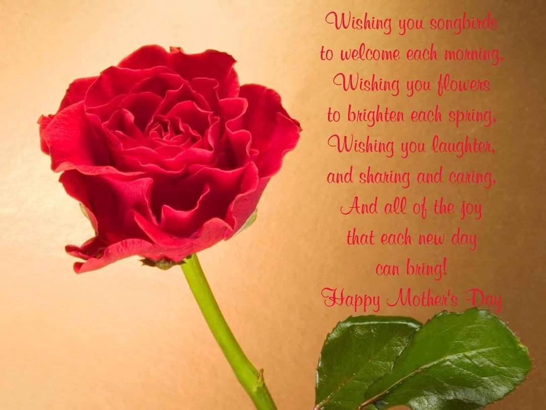To all the mothers I know ... have a great day ...