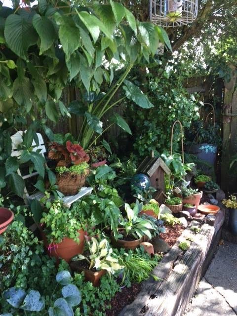 D Breazeale's album, Timeline Photos