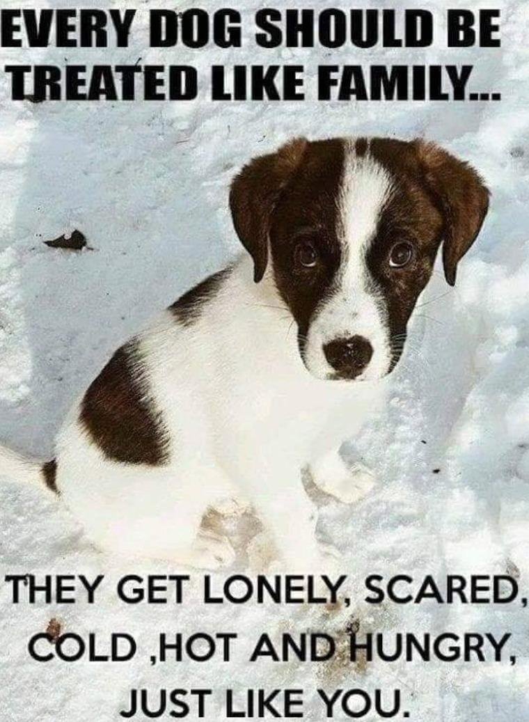 Roberta Gilmor's album, Timeline photos