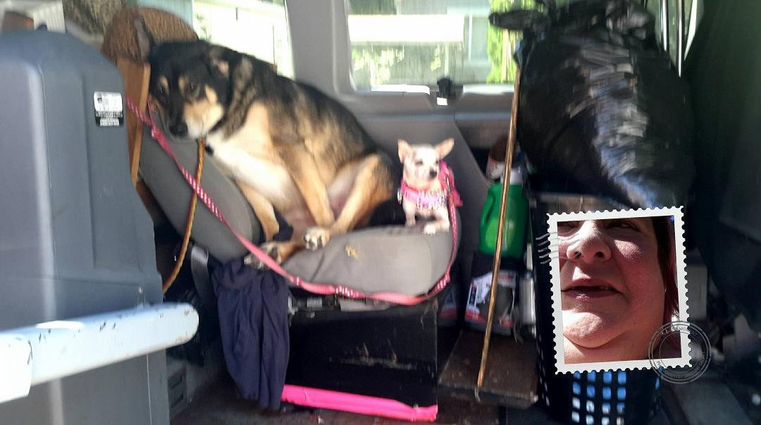 Funny and cute going to do laundry I stay in car with dogs cool breeze these two usually don't get along this well hee