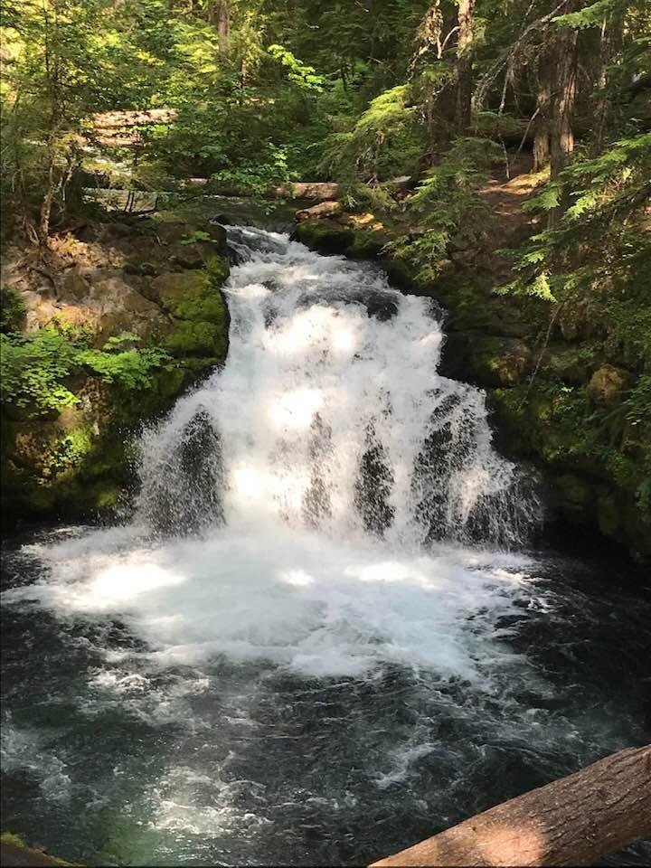 Whitehorse Falls, Oregon. See the horse?