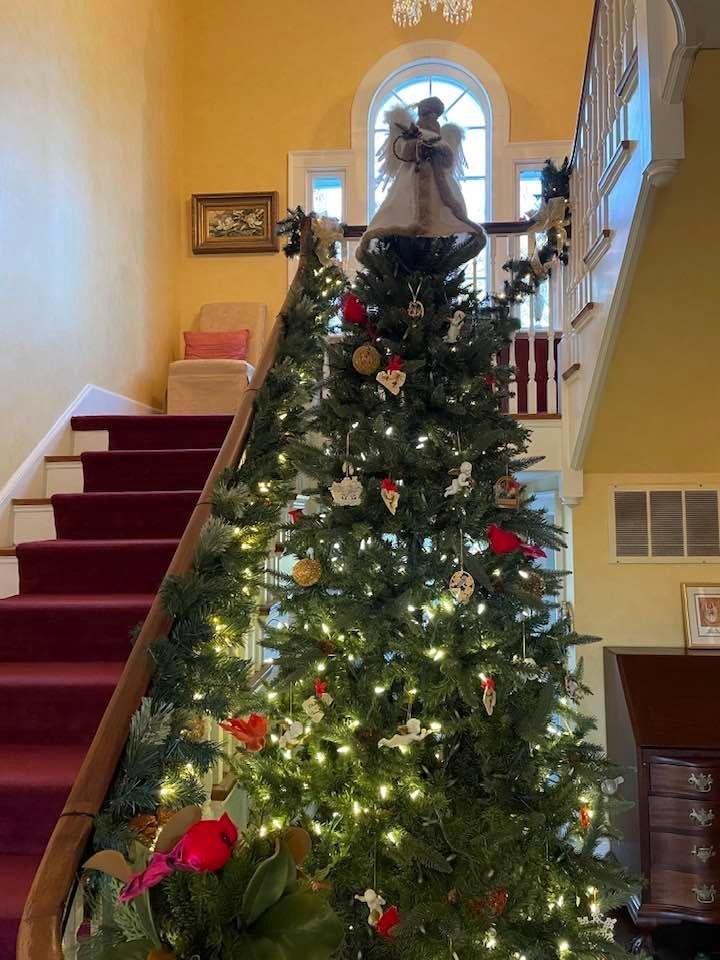 May y'all's Guardian Angel & The Holy Spirit be with y'all's like they were with Mary & Joseph on their way to Bethlehem ... Life's Journey is Authentic 🙏🕎✝️🙏