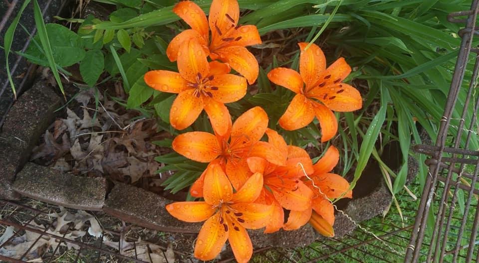 Deborah Christensen's album, Timeline Photos