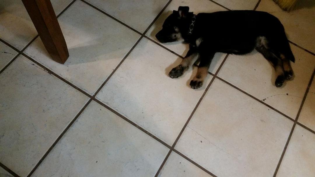 Somebody is really tired.