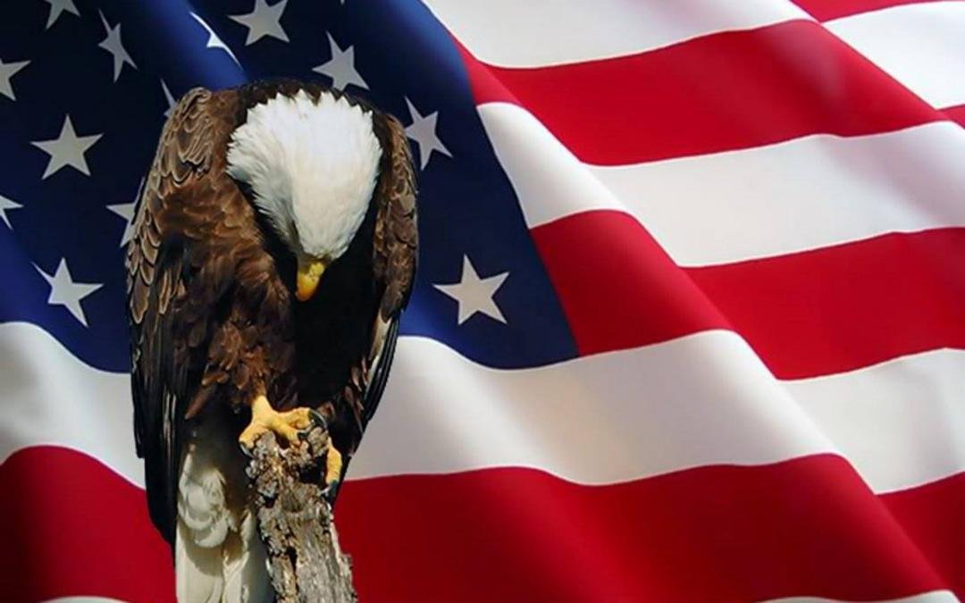 Today we remember the valor for which they fought and the sacrifices which they made. Thank you!
