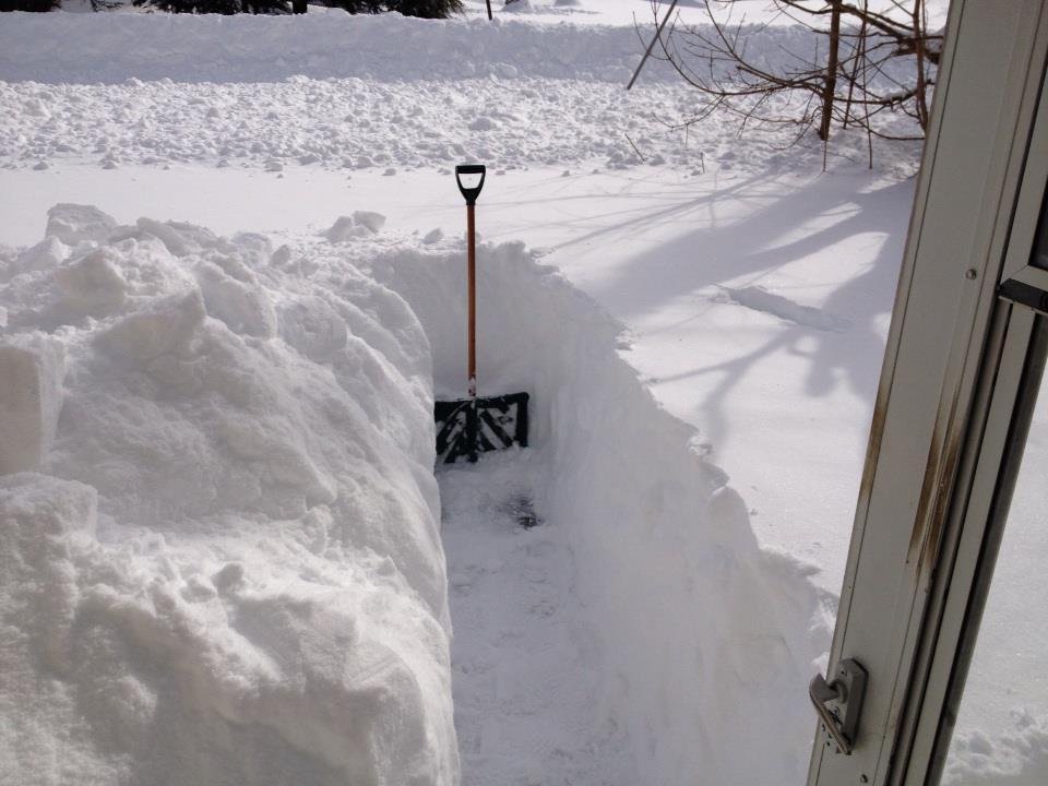About 3 feet in front yard only 20 more feet to the road!