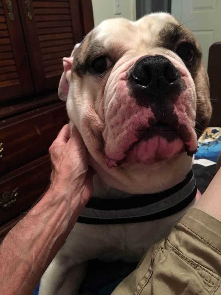 Hey poppy let’s play