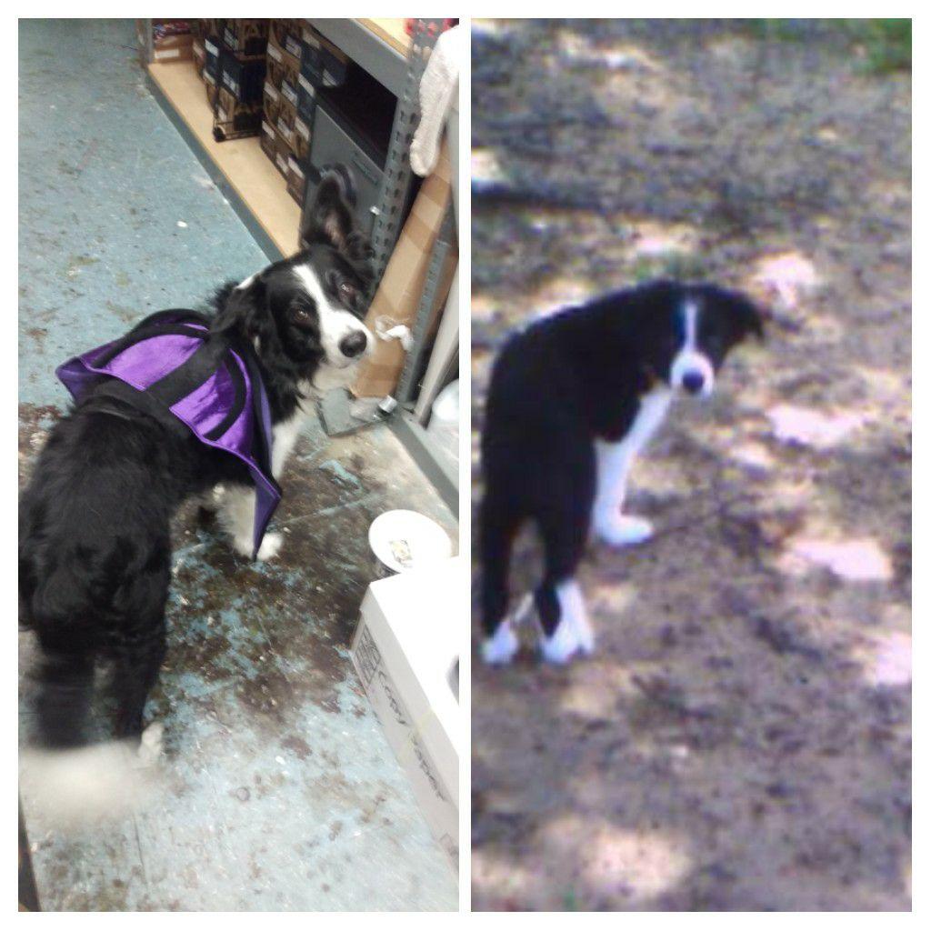 10 years and still my little boy 😘