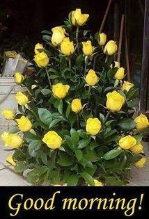 Zearl Robey's album, Timeline photos