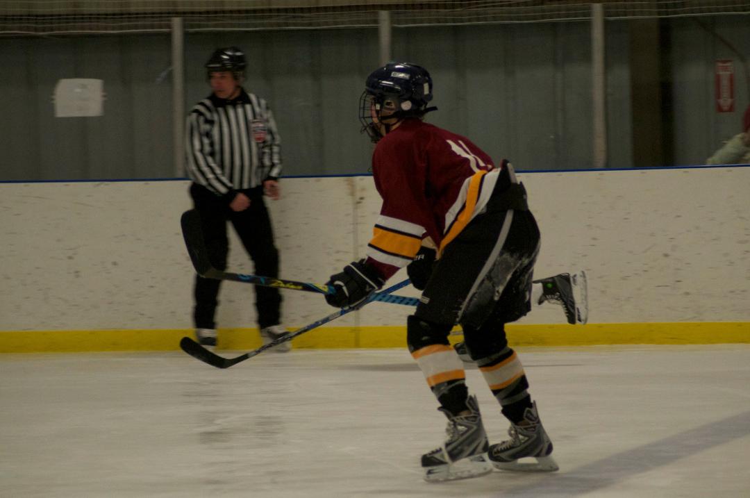 Beverly Riemann's album, HOCKEY GAME - OAKTON/GMHS GOLD