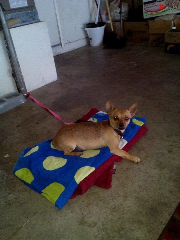 This is coby