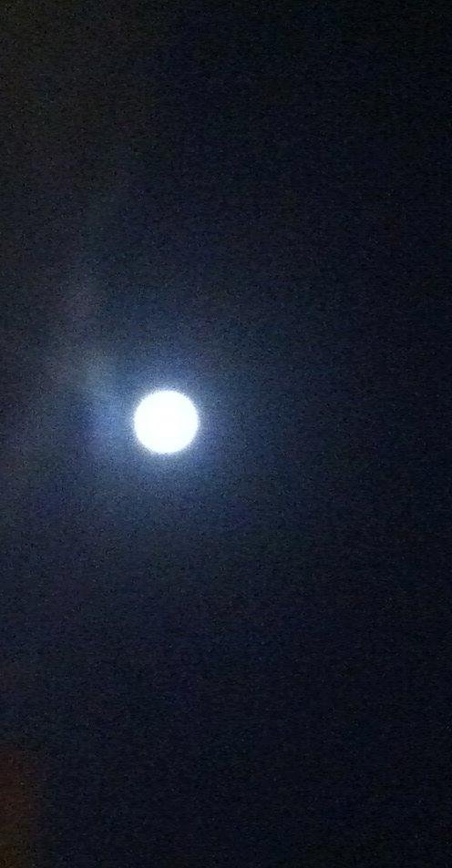 The full moon tonight is gorgeous!!
