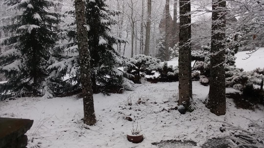 Snow Day!!