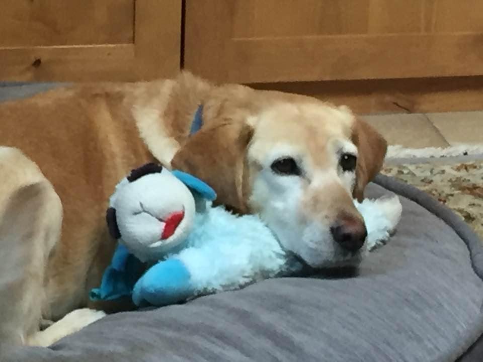 Zoe + "blue dolly"