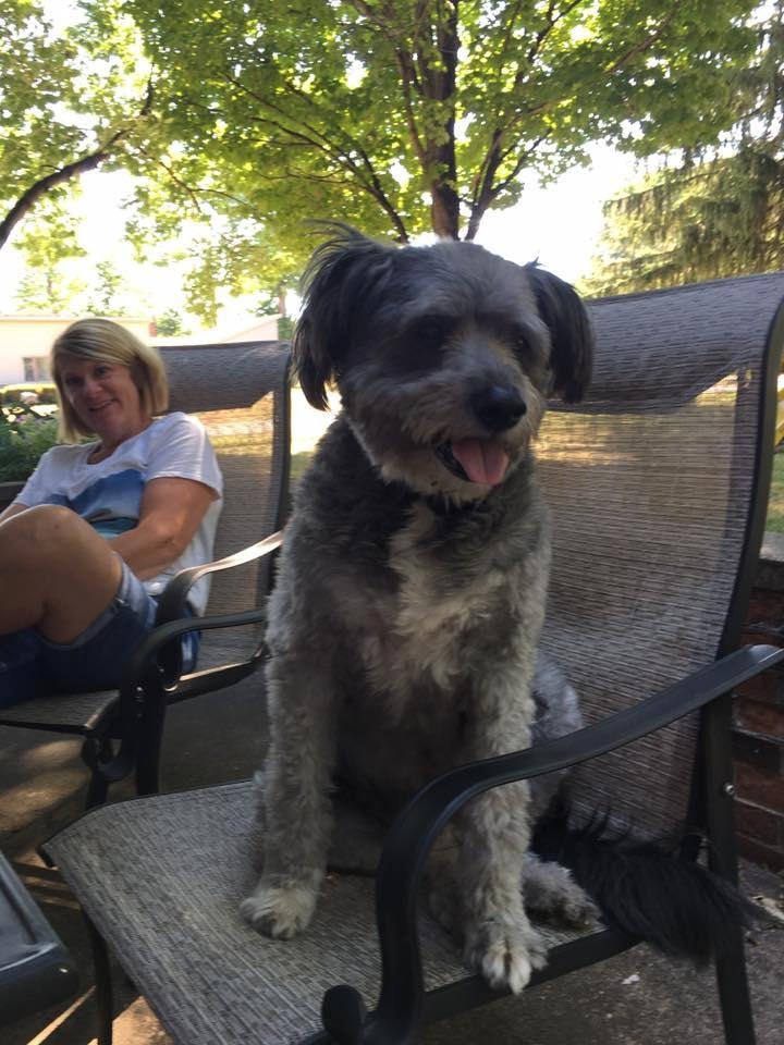 Sally Champaigne's album, Mobile Uploads