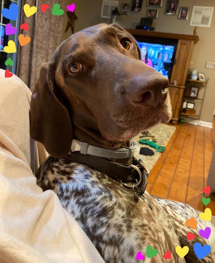 Someone is thankful for the corona virus, and having mom home ❤️