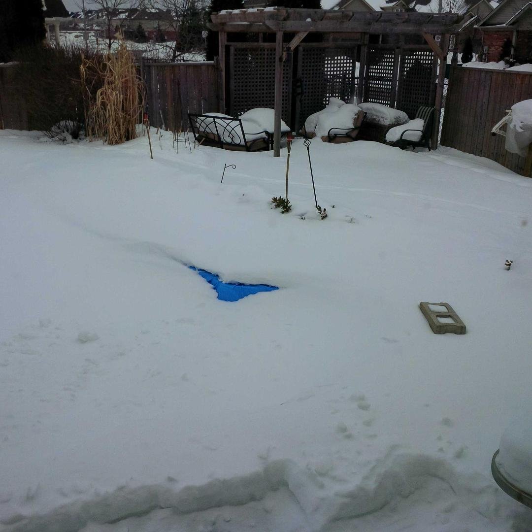 Yes I have a pool under that white stuff! Now to my Caribbean friends and family. That white stuff is snow. Come on spring and summer!