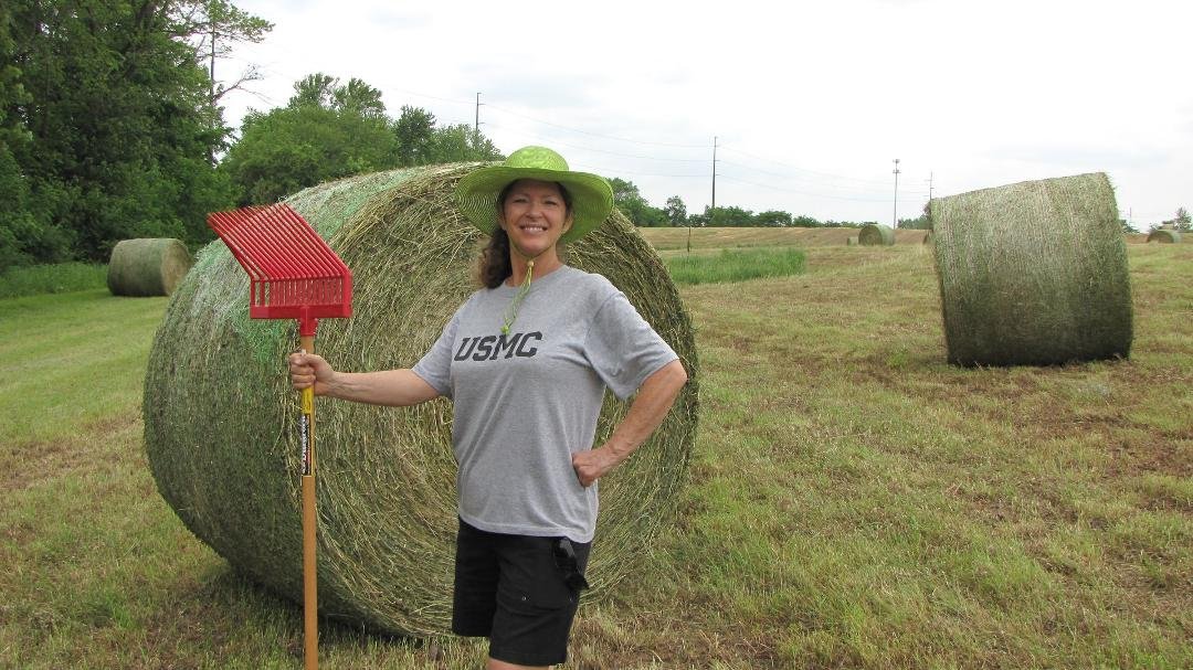 Harvest Time