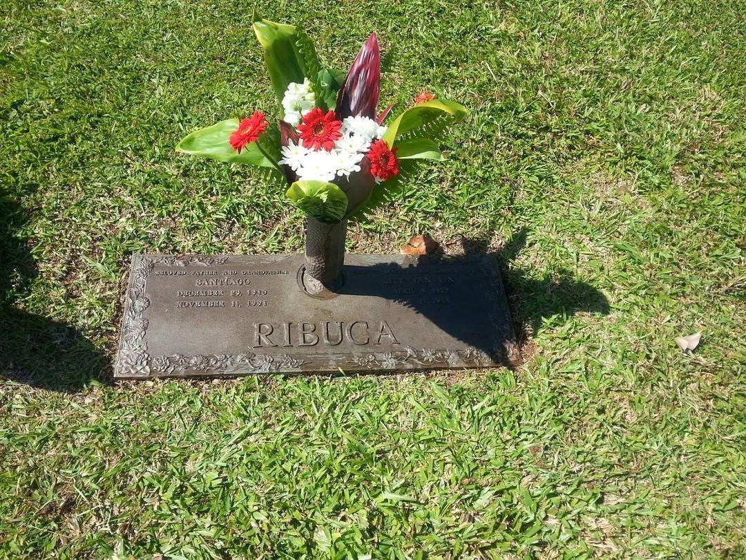 Rick Ribuca's album, Mobile Uploads