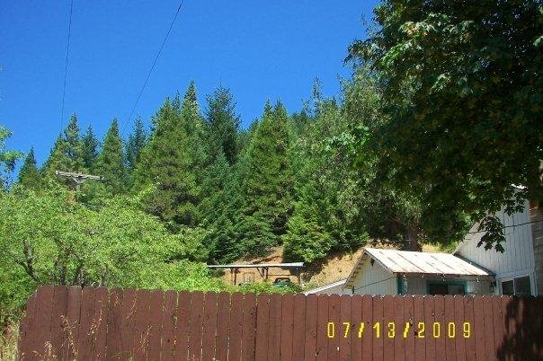 View showing another part of our house and the hills behind which is all part of the property.