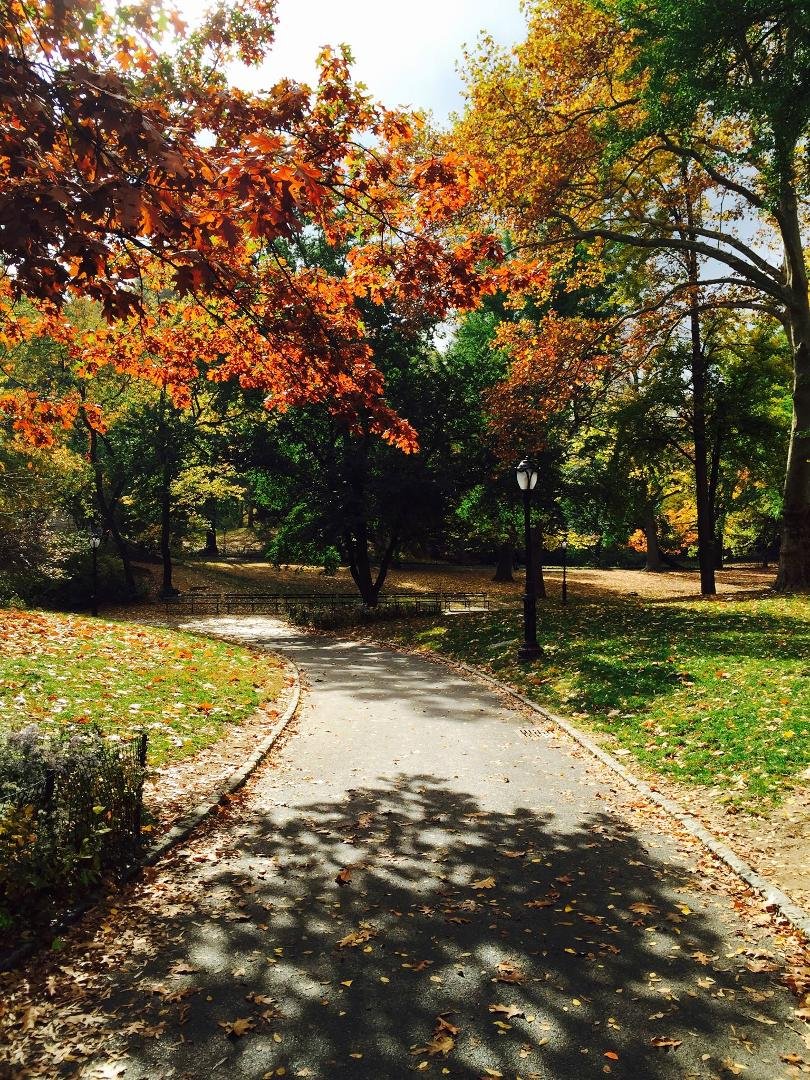 Walking through Central Park. Another perfect NY day.