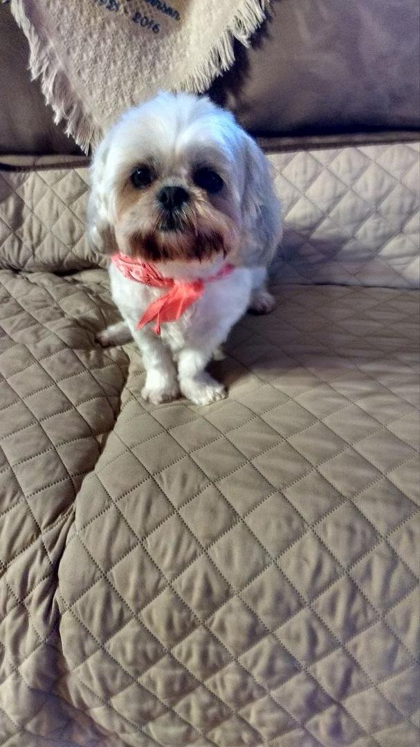 All groomed and looking pretty.😅